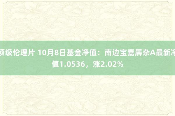 顶级伦理片 10月8日基金净值：南边宝嘉羼杂A最新净值1.0536，涨2.02%