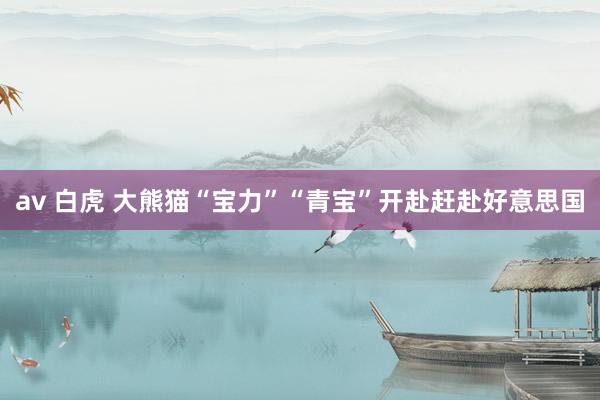 av 白虎 大熊猫“宝力”“青宝”开赴赶赴好意思国