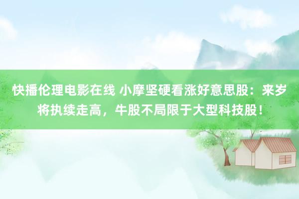 快播伦理电影在线 小摩坚硬看涨好意思股：来岁将执续走高，牛股不局限于大型科技股！