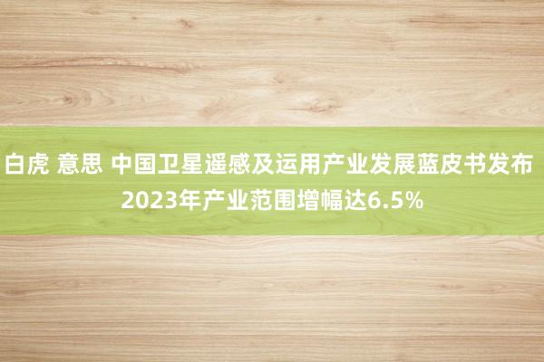 白虎 意思 中国卫星遥感及运用产业发展蓝皮书发布 2023年产业范围增幅达6.5%