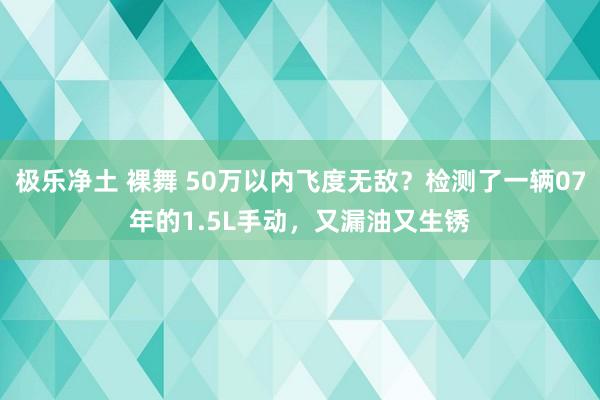 极乐净土 裸舞 50万以内飞度无敌？检测了一辆07年的1.5L手动，又漏油又生锈