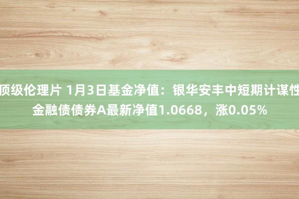 顶级伦理片 1月3日基金净值：银华安丰中短期计谋性金融债债券A最新净值1.0668，涨0.05%
