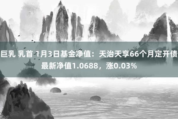 巨乳 乳首 1月3日基金净值：天治天享66个月定开债最新净值1.0688，涨0.03%