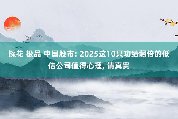 探花 极品 中国股市: 2025这10只功绩翻倍的低估公司值得心理, 请真贵