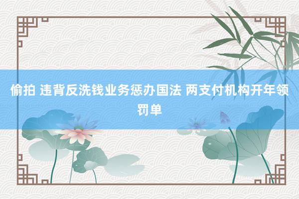 偷拍 违背反洗钱业务惩办国法 两支付机构开年领罚单