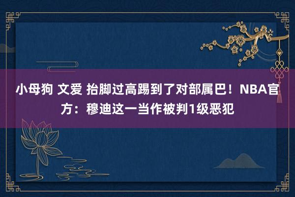 小母狗 文爱 抬脚过高踢到了对部属巴！NBA官方：穆迪这一当作被判1级恶犯
