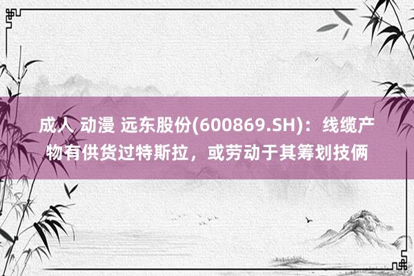 成人 动漫 远东股份(600869.SH)：线缆产物有供货过特斯拉，或劳动于其筹划技俩