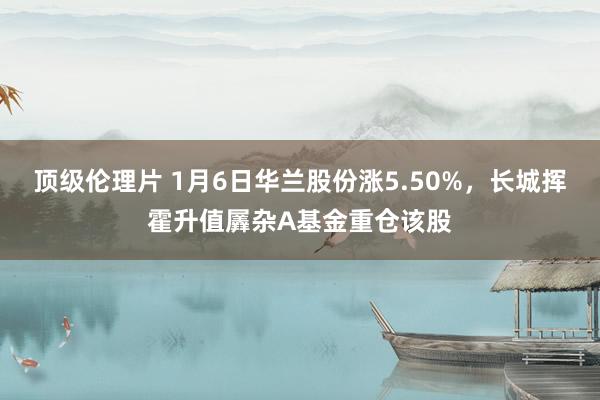 顶级伦理片 1月6日华兰股份涨5.50%，长城挥霍升值羼杂A基金重仓该股