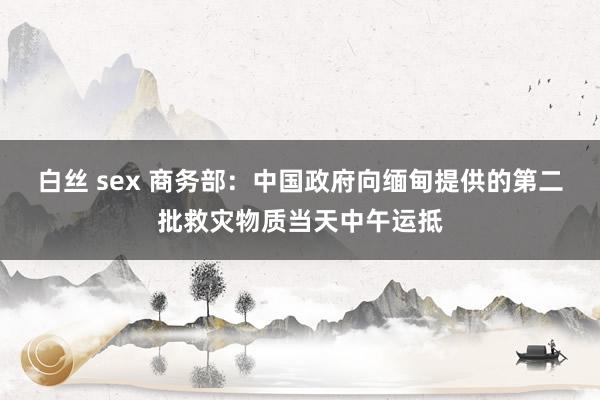 白丝 sex 商务部：中国政府向缅甸提供的第二批救灾物质当天中午运抵