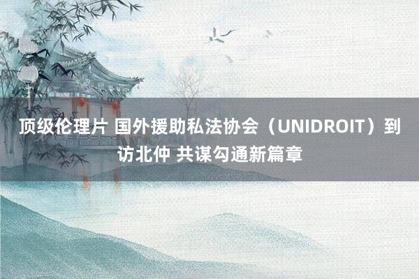 顶级伦理片 国外援助私法协会（UNIDROIT）到访北仲 共谋勾通新篇章